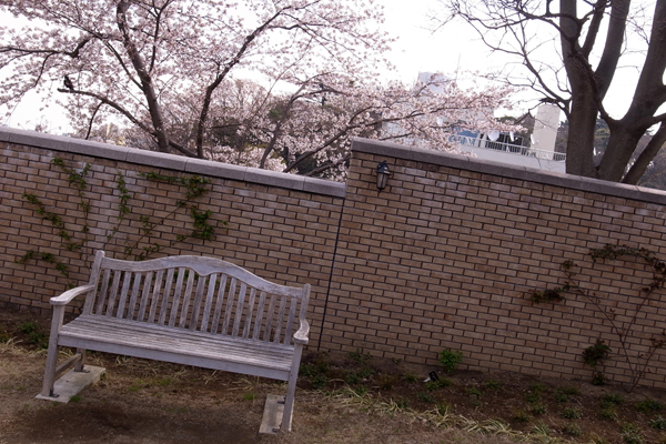 120406 1 RIMG2563.jpg